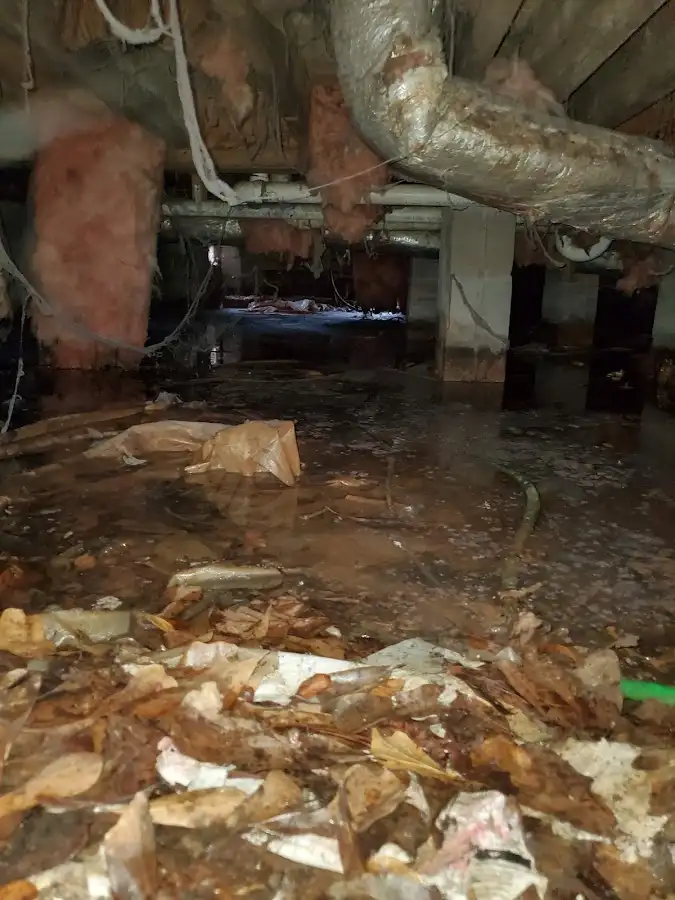 Crawl space flood assessment for Leak Detection & Repair in Louisburg