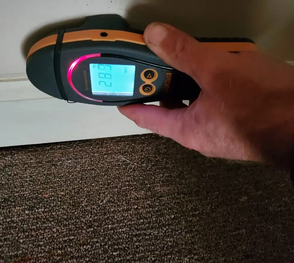 Moisture detection at baseboard during Sewage Cleanup & Sanitation in Louisburg